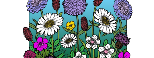 Front cover of the Parish magazine showing lots of flowers